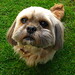 Bonnie Loving Photo 5