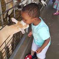 Jennifer Deyoung Photo 12