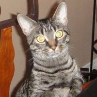 Catherine Elliott Photo 37