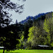 Milton Harris Photo 13