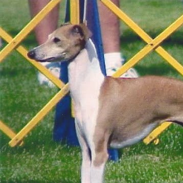 Paula Benson Photo 38