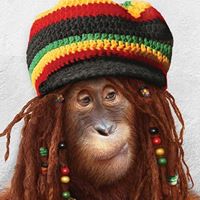 Douglas Morton Photo 38