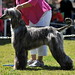 Cynthia Mauldin Photo 20