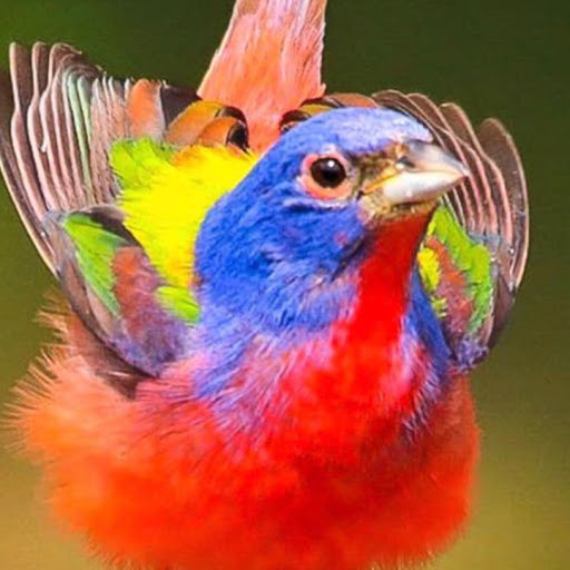 Sally Shoemaker Photo 19