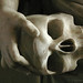 Mary Stratton Photo 10