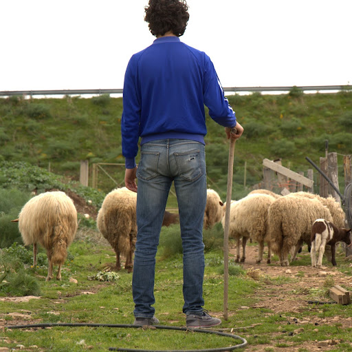 Michele Palumbo Photo 10