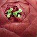 Camelia Sharp Photo 6