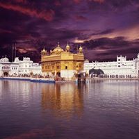 Manmeet Dhillon Photo 16