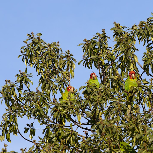 Alisa Davis Photo 19 Alisa Davis Photo 19