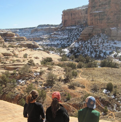 Rebecca Roman Photo 16