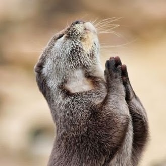 Jeffrey Chiang Photo 30