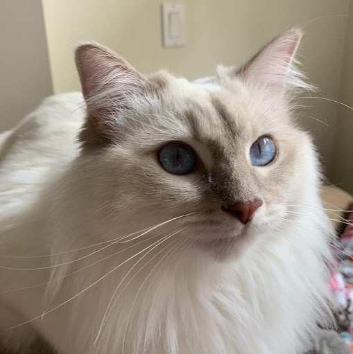 Sean Wilson Photo 61