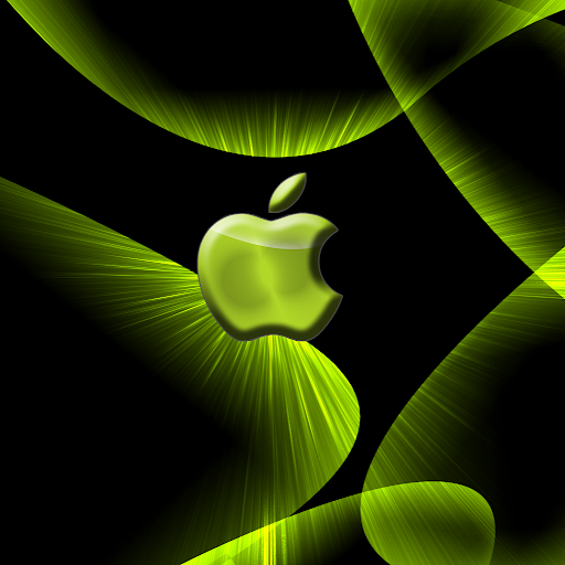 Matthew Gruber Photo 11