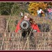 Judy Cannon Photo 33