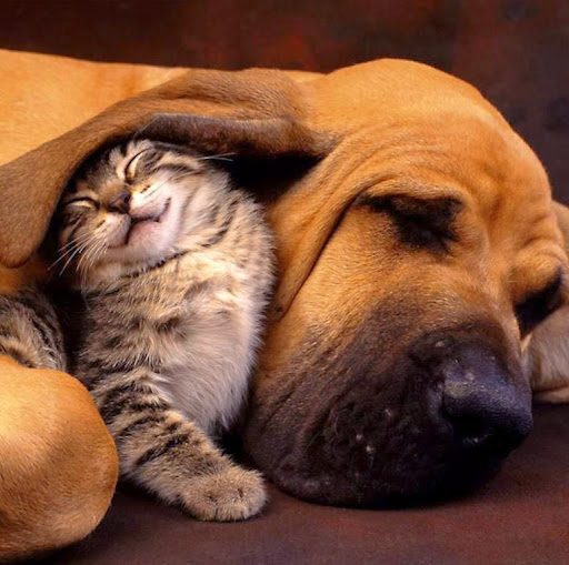 Cynthia Ramos Photo 16