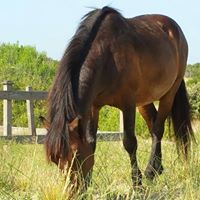 Audrey Patrick Photo 5