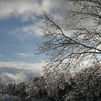 Kathleen Cronin Photo 35