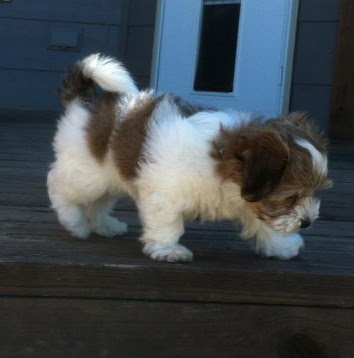 John Hutter Photo 18