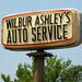Ashley Wilbur Photo 14