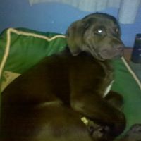 Jacob Strader Photo 2