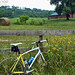 Susan Hays Photo 15