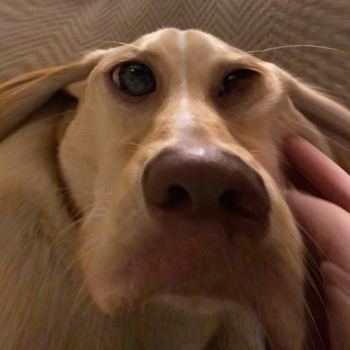 Stacy Guthrie Photo 25