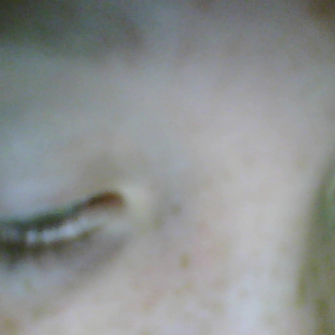 Megan Pryor Photo 24