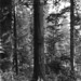 Gerald Warren Photo 39