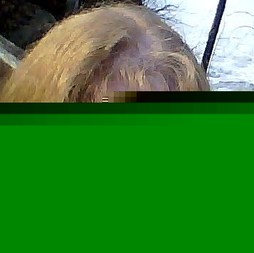 Shawn Hunter Photo 10