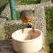 Robin May Photo 19