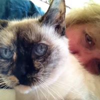 Eileen Mcdaniel Photo 20