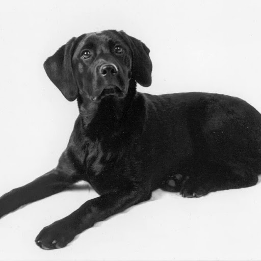 Kevin Kerr Photo 6 Kevin Kerr Photo 6