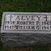 Ann Alvey Photo 2