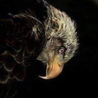 Rick Watson Photo 29