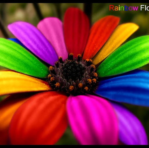 Michelle Thornton Photo 17