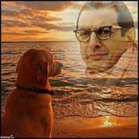 Chad Walters Photo 24