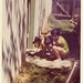 Sue Havel Photo 9