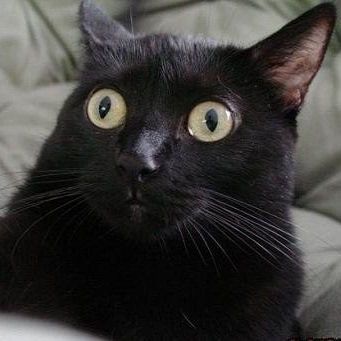 Jonathan Workman Photo 18