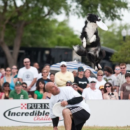 Mark Muir Photo 37