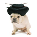 Debra Benedict Photo 12