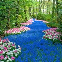 Janice Klein Photo 23