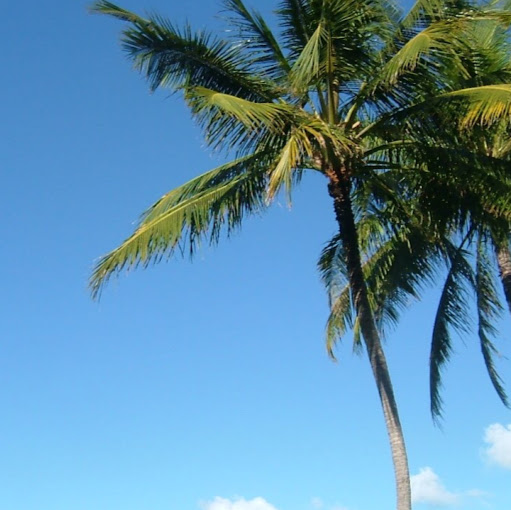 Sarah Findlay Photo 9