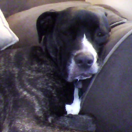 Melissa Agee Photo 7