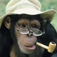 Kevin Mahoney Photo 62