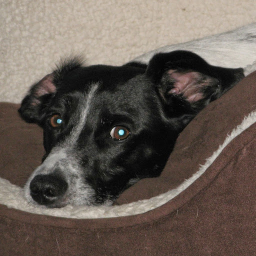 Donna Christie Photo 10