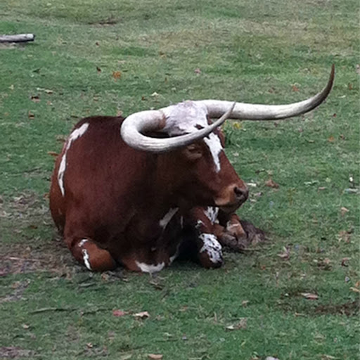 Andrew Tracy Photo 44