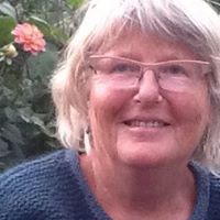 Jill Rosenberg Photo 29