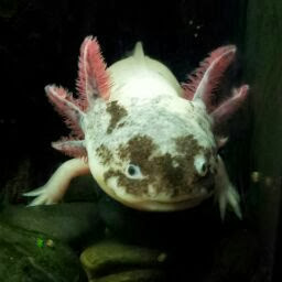 Claudia Gabriel Photo 18