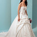 Alfred Angelo Photo 20