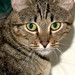 Wilma Brown Photo 24